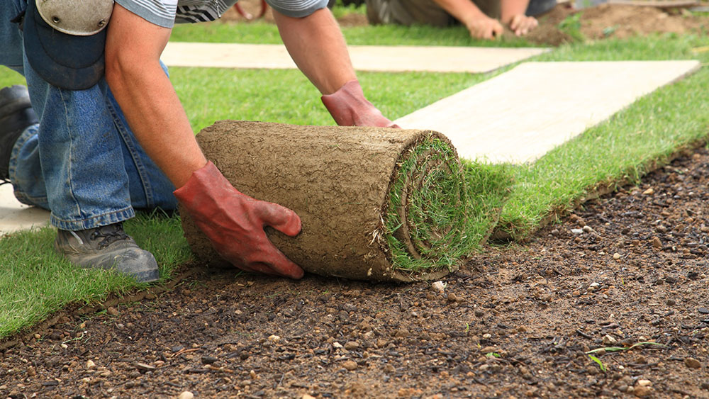 Landscaping and Gardening